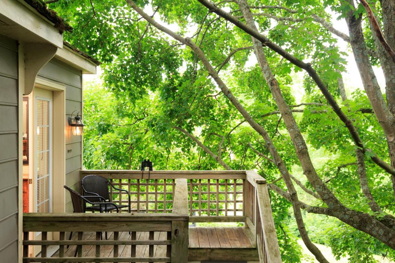 Inn And Cabins At Vaucluse Spring Stephens City Экстерьер фото